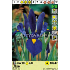 Ирис/ Dutch Iris Blue - Пакет: 1 оп.-10 бр.