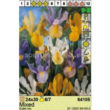 Ириси микс/ Dutch Iris Mixed - Пакет: 1 оп. - 30 бр.