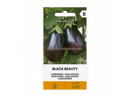 СК ПАТЛАДЖАН ЧЕРНА КРАСАВИЦА EGGPLANT, BLACK BEAUTY  