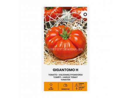 СК СЕМЕНА ДОМАТИ ГИГАНТОМО Х TOMATO, GIGANTOMO H  