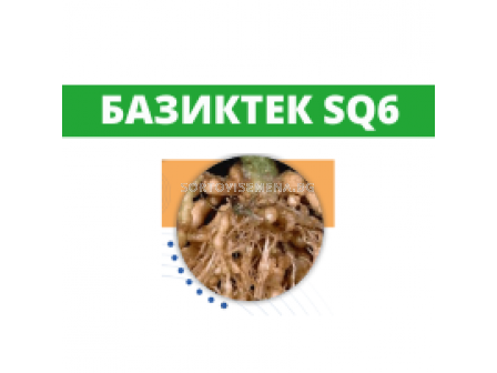 Базиктек SQ6