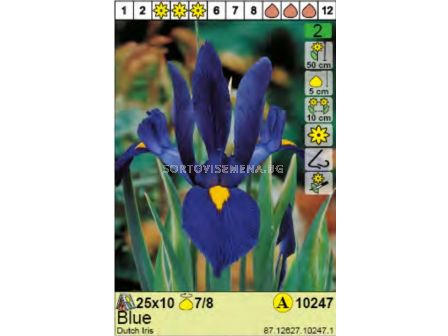 Ирис/ Dutch Iris Blue - Пакет: 1 оп.-10 бр.