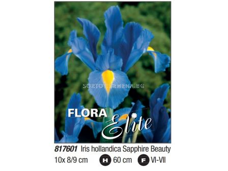 Ирис/ Iris hollandica Sapphire Beauty: Пакет- 1 оп. - 10 бр.