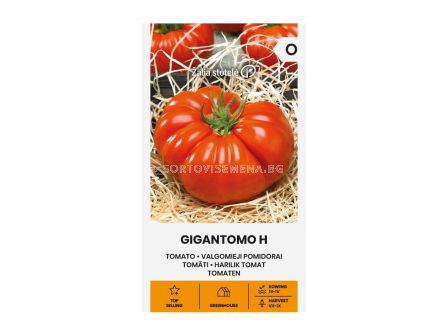 СК СЕМЕНА ДОМАТИ ГИГАНТОМО Х TOMATO, GIGANTOMO H  